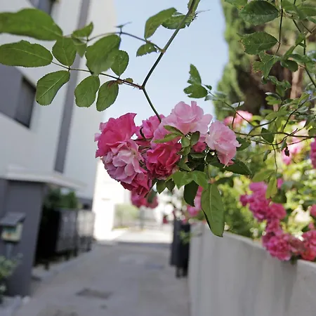 Corniche Proche - Terrasse, Parking, Clim, Wifi セット